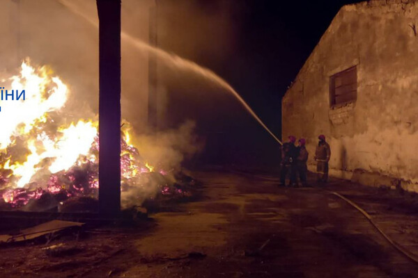 Много пожаров и помощь населению: как прошли сутки у одесских спасателей фото 6