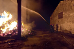 Много пожаров и помощь населению: как прошли сутки у одесских спасателей фото 6