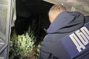 В Одесской области разоблачили производство каннабиса с многомиллионным оборотом фото 5