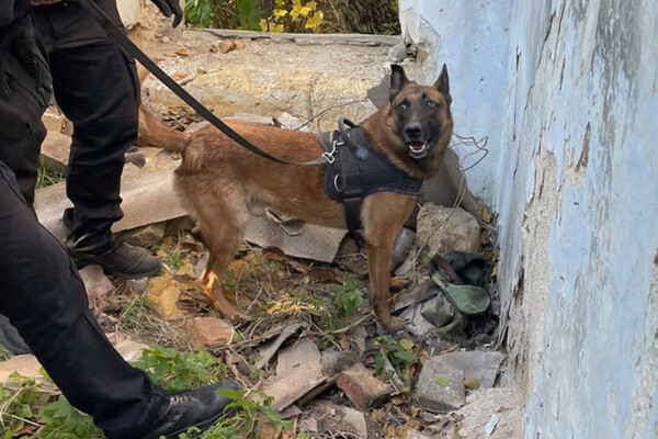 В Одесской области задержали экс-полицейского, который сливал данные о транспортной инфраструктуре&nbsp; фото 3