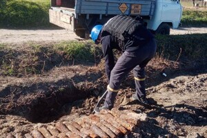 В Одесской области уничтожили более 150-ти снарядов, которые нашел пес (видео) фото 3