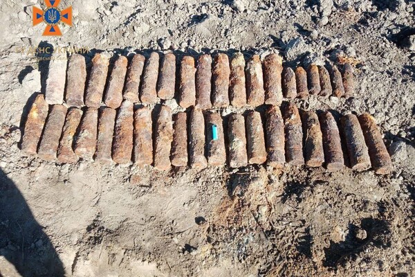 В Одесской области уничтожили более 150-ти снарядов, которые нашел пес (видео) фото 4