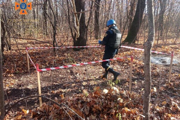 В Одесской области уничтожили более 150-ти снарядов, которые нашел пес (видео) фото 5