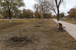 В Одесской области вандал уничтожил аллею деревьев: за информацию о нем обещают деньги фото 4