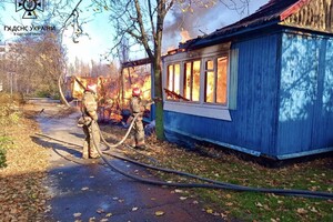 Тушили пожары и доставали мужчину из подвала: как прошли сутки у одесских спасателей фото 2