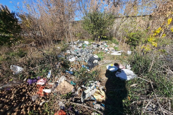 В Одессе стало больше мусорных свалок  фото
