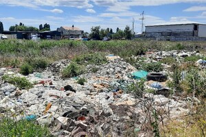 В Одессе стало больше мусорных свалок  фото 2