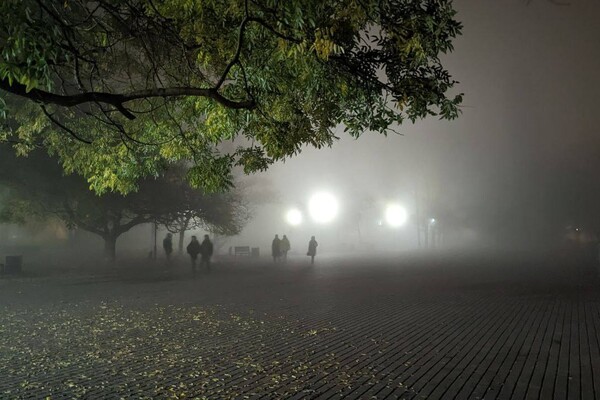 На вихідних Одесу огорнув густий туман (фото) фото 15