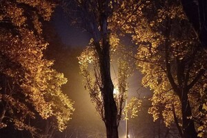 На вихідних Одесу огорнув густий туман (фото) фото 17