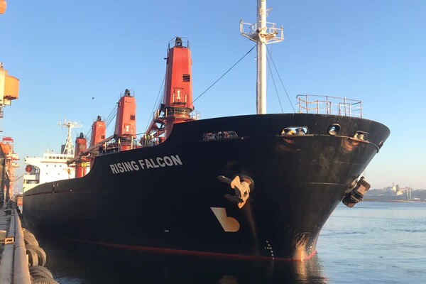 За последние двое суток из портов Одесской области вышли 12 судов фото