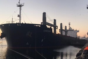 За последние двое суток из портов Одесской области вышли 12 судов фото 1