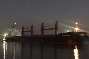 За последние двое суток из портов Одесской области вышли 12 судов фото 2