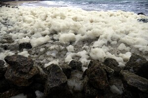 Морське капучино: одеське узбережжя вкрила дивовижна піна фото 5