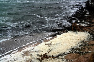 Морське капучино: одеське узбережжя вкрила дивовижна піна фото 6