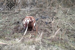 Смертельный пожар и спасение коровы: как прошли сутки у одесских спасателей фото 1