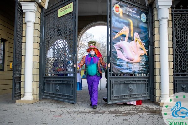 В Одесском зоопарке снимают новогодний клип: чего ожидать фото 3