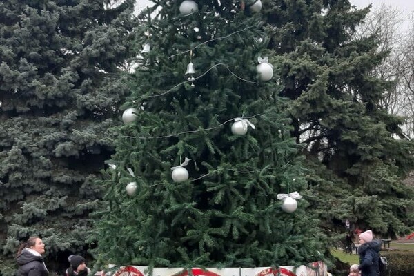На поселке Котовского установили Новогоднюю елку на аккумуляторах фото 1