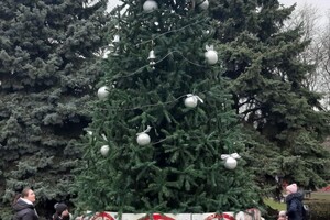 На селищі Котовського встановили Новорічну ялинку на акумуляторах фото 1