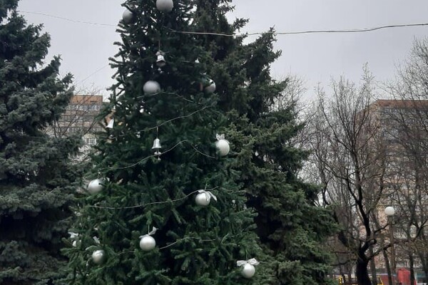На поселке Котовского установили Новогоднюю елку на аккумуляторах фото 2