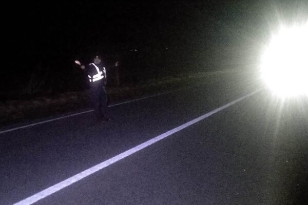 Водитель пытался обогнать: на трассе Одесса-Рени произошло смертельное ДТП фото 1