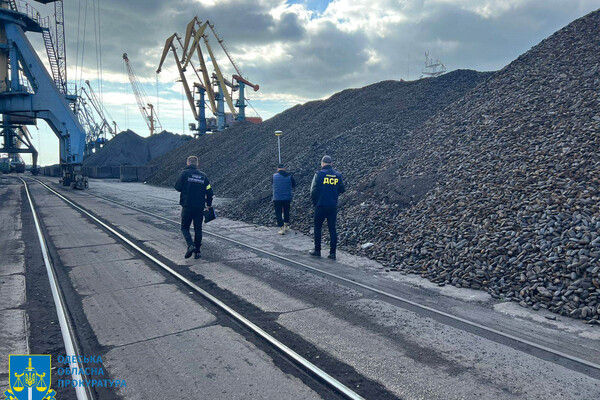 Російську руду на 20 мільйонів доларів із Одеської області передали АРМА фото 3