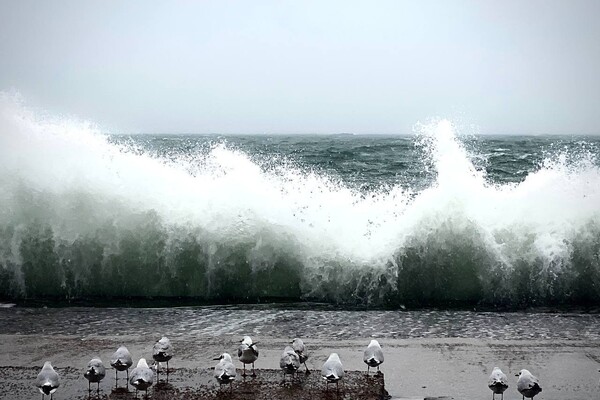 Снегопад и шторм на море: как удивляла погода в Одессе последние дни  фото 4