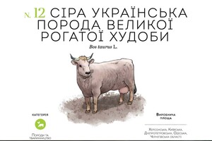 Дунайка и сушеная брынза: какие продукты из Одесской области попали в атлас уникальных продуктов Украины фото 1