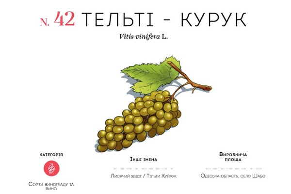 Дунайка и сушеная брынза: какие продукты из Одесской области попали в атлас уникальных продуктов Украины фото 3