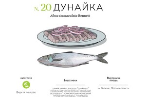 Дунайка и сушеная брынза: какие продукты из Одесской области попали в атлас уникальных продуктов Украины фото 8