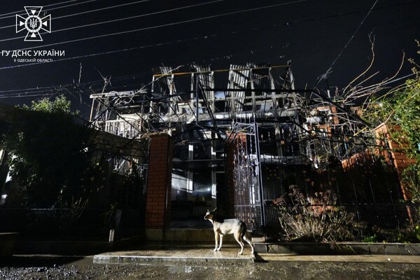 Под Одессой горели жилые дома и гаражи из-за генератора: есть пострадавшие фото 11