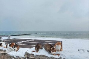 Гололед и санки: в Одессу пришла настоящая зима (фото) фото 2