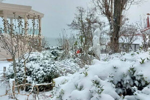 Гололед и санки: в Одессу пришла настоящая зима (фото) фото 3