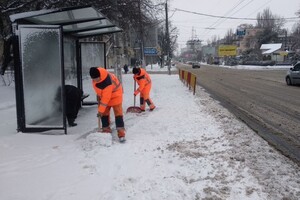 Гололед и санки: в Одессу пришла настоящая зима (фото) фото 5