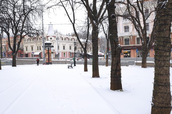 Гололед и санки: в Одессу пришла настоящая зима (фото) фото 12