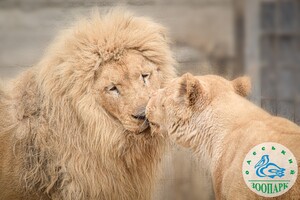 Одесский зоопарк объявил конкурс &quot;Пара года &ndash; 2023&quot; фото 8