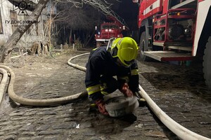 На Молдаванке загорелся двухэтажный дом: его тушили 35 спасателей фото 6