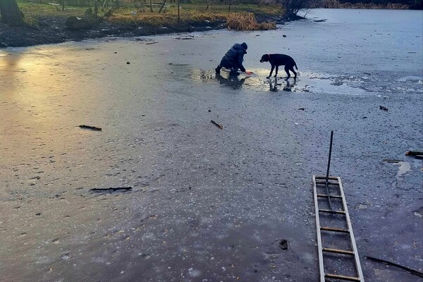 На одесском пруду пенсионер провалился под лед: он пытался спасти собаку фото 4