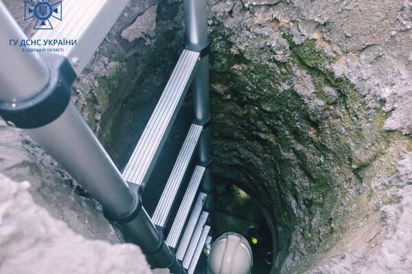 Смертельный пожар и спасение собаки: как прошли сутки у одесских спасателей фото