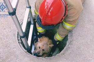 Смертельный пожар и спасение собаки: как прошли сутки у одесских спасателей фото 2