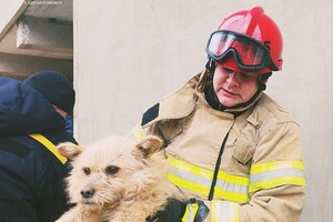 Смертельный пожар и спасение собаки: как прошли сутки у одесских спасателей фото 3
