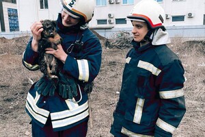 Пожар из-за генератора и спасение щенка: как прошли сутки у одесских спасателей  фото 4