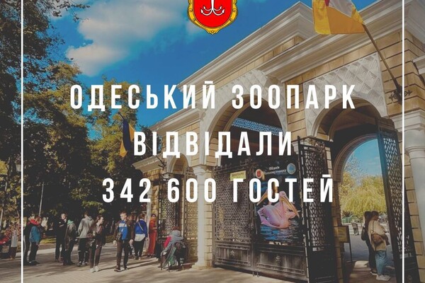 Как прошли 365 дней войны в Одессе: факты в цифрах фото 9