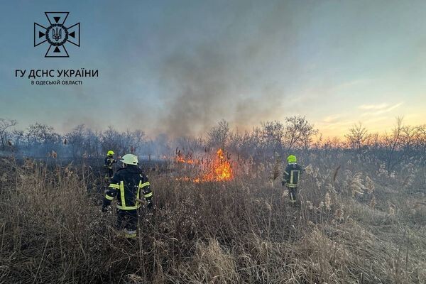 В Суворовском районе Одессы горели поля фильтрации: подробности пожара фото