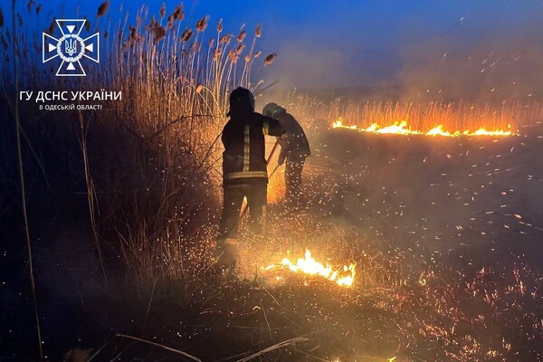 В Суворовском районе Одессы горели поля фильтрации: подробности пожара фото 1
