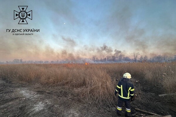 В Суворовском районе Одессы горели поля фильтрации: подробности пожара фото 2