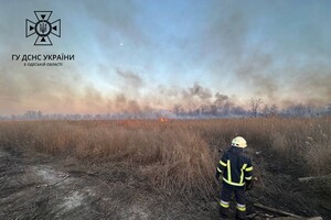 У Суворовському районі Одеси горіли поля фільтрації: подробиці пожежі фото 2