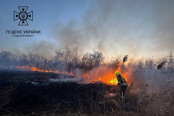 В Суворовском районе Одессы горели поля фильтрации: подробности пожара фото 3