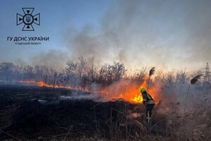 У Суворовському районі Одеси горіли поля фільтрації: подробиці пожежі фото 3