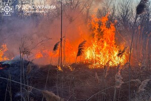 У Суворовському районі Одеси горіли поля фільтрації: подробиці пожежі фото 4