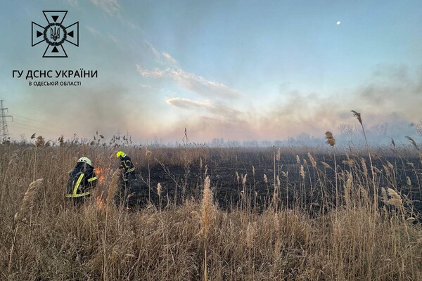 В Суворовском районе Одессы горели поля фильтрации: подробности пожара фото 5